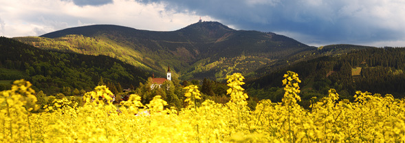 Malenovice